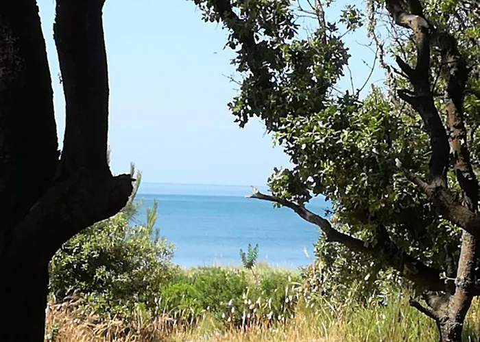 Petite Maison Agreable A 300 M De La Plage