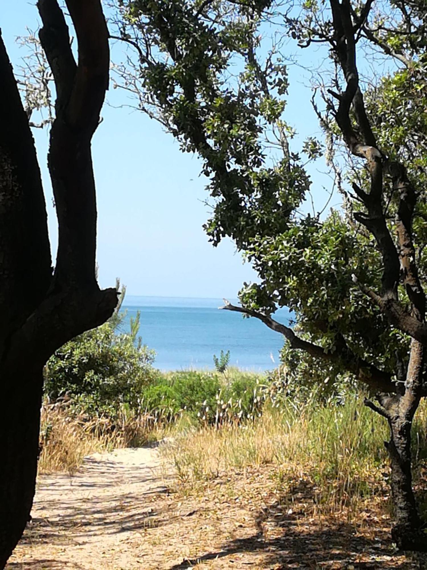 Petite Maison Agreable A 300 M De La Dolus-d'Oleron